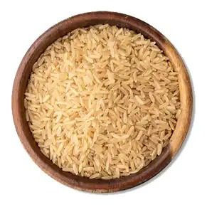 Avnel روز صفر 10