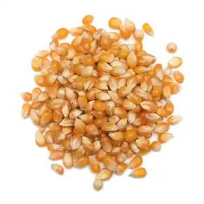 ذرة قلي كغ10