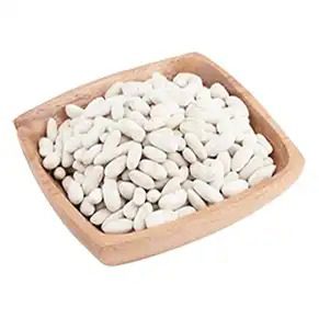 لوبيا مصر 25