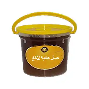 عسل عادي 2 كغ